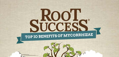 Top 10 Mycorrhizae